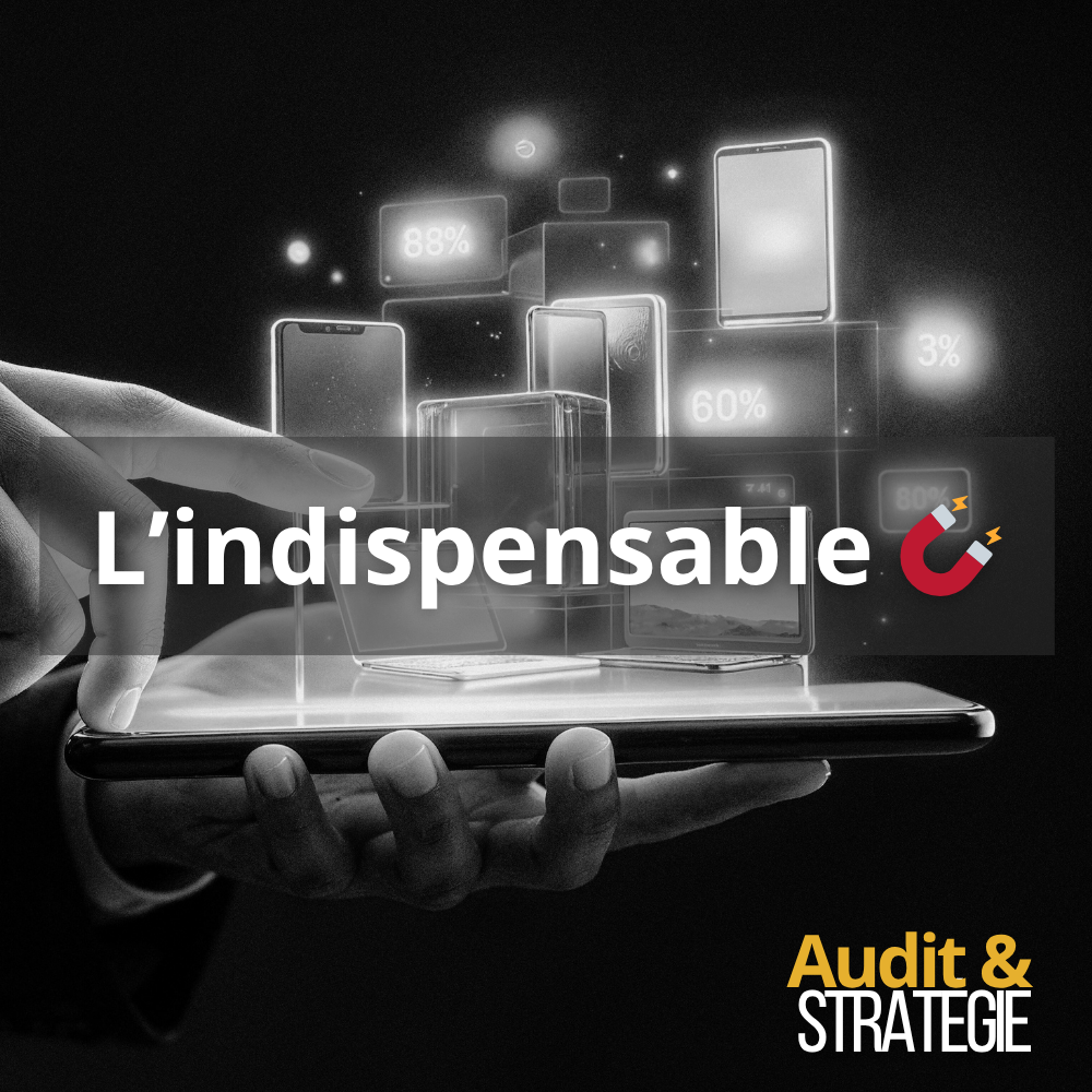 L'indispensable audit et stratégie